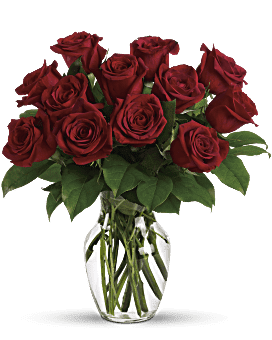 Pre-Order Special Premium Red Dozen