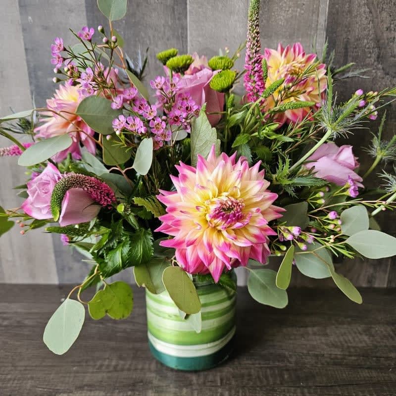 Dahlia Cotton Candy Delight