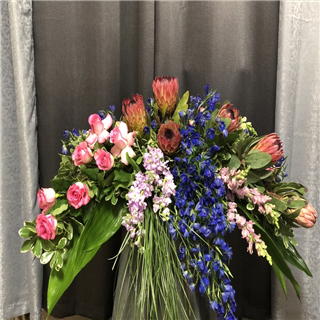 Protea and Roses - CC3