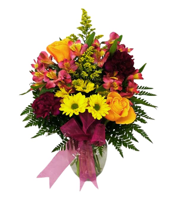 Punch of Color V-1357