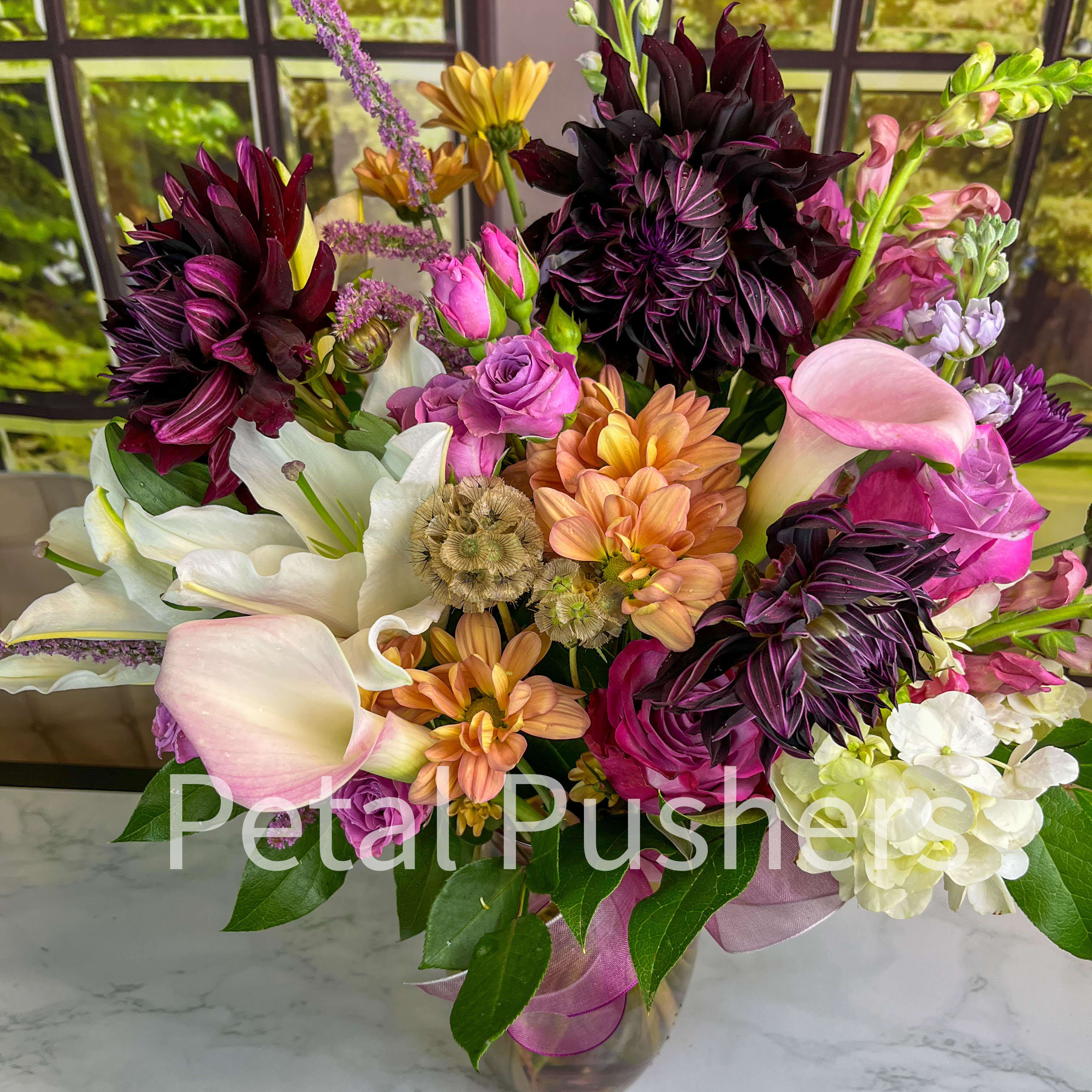 Dahlia Time
