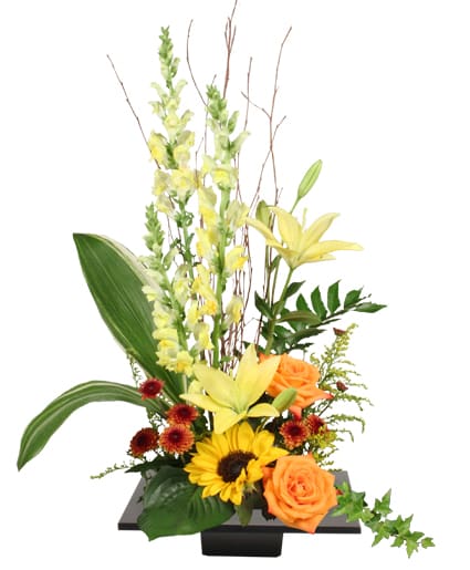 EXPRESSIVE BLOOMS ARRANGEMENT Flower Bouquet