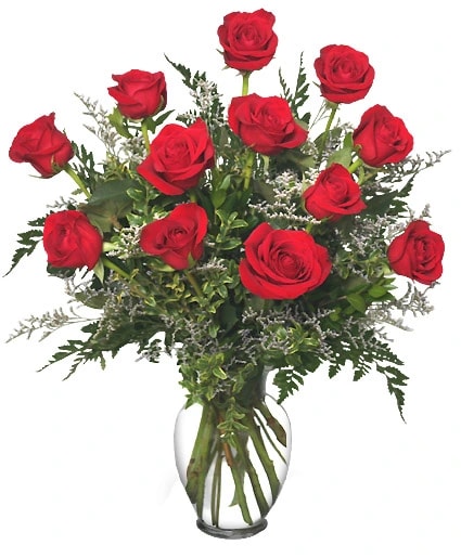 CLASSIC DOZEN ROSES RED ROSE ARRANGEMENT Flower Bouquet