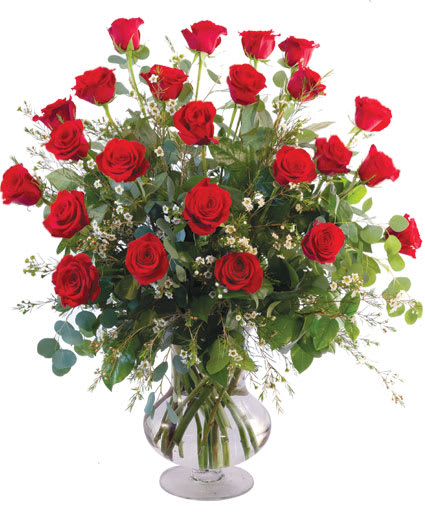 TWO DOZEN RED ROSES VASE ARRANGEMENT Flower Bouquet