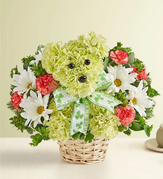 Lucky The St. Paddy’s Day Pup