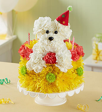 Birthday Wishes Pupcake Flower Bouquet