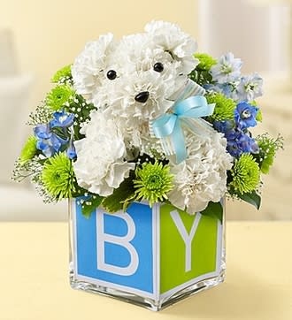 It's a-DOG-able!™ - Boy