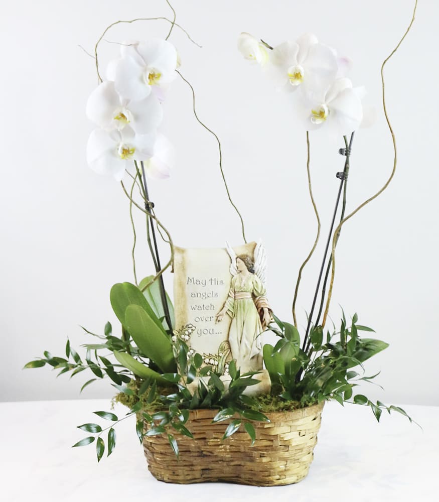 Memorial Orchid Planter Basket Flower Bouquet
