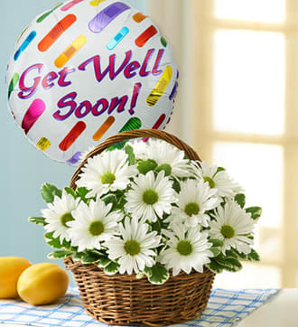 Basket Full of Daisies with Get Well Balloon