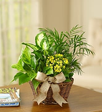 European Dish Garden Flower Bouquet