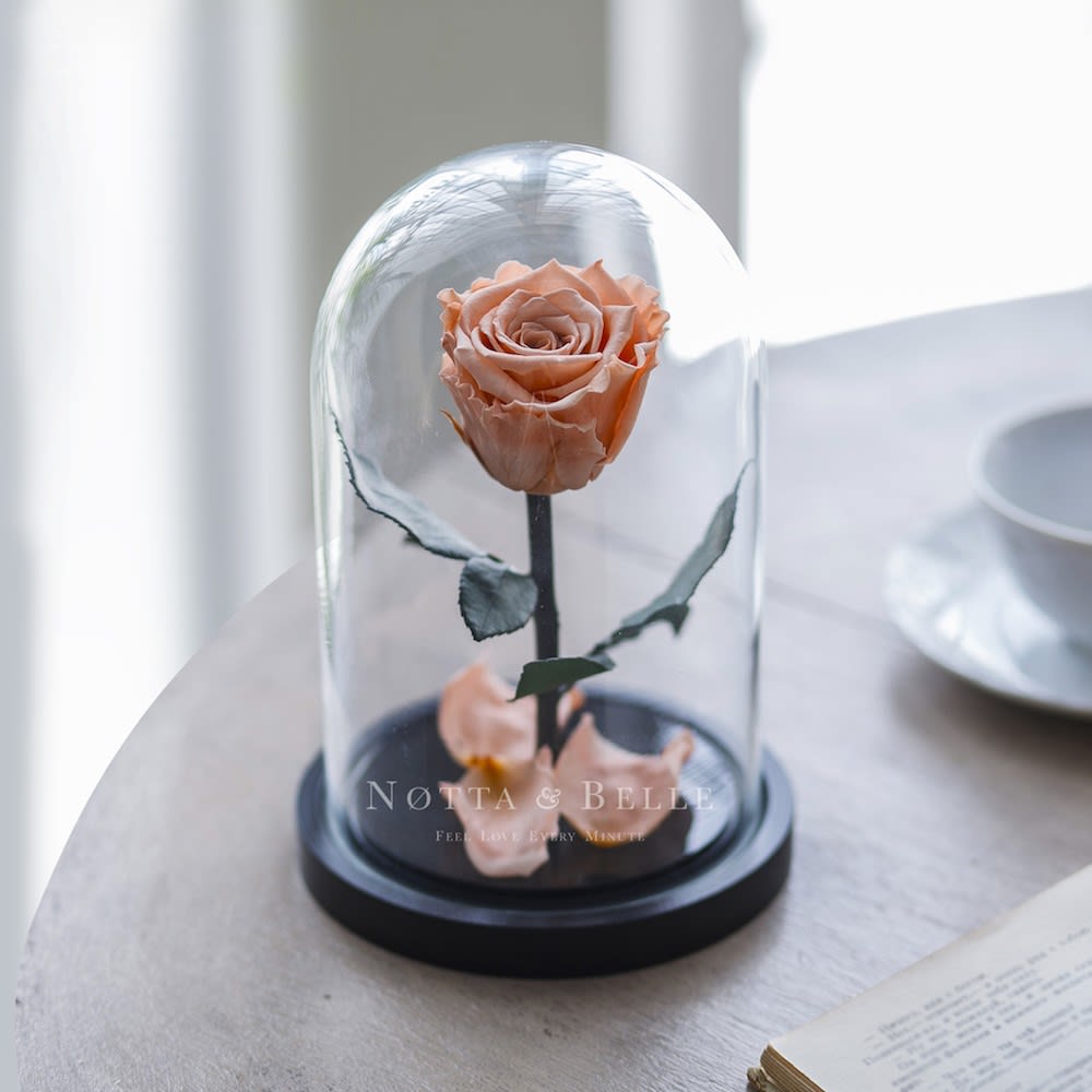 Peach Rose Dome