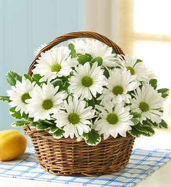 White Daisy Basket Flower Bouquet