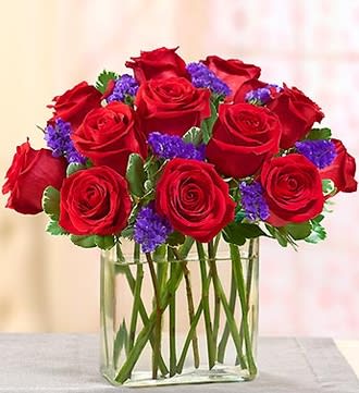 Modern Roses - One Dozen Red