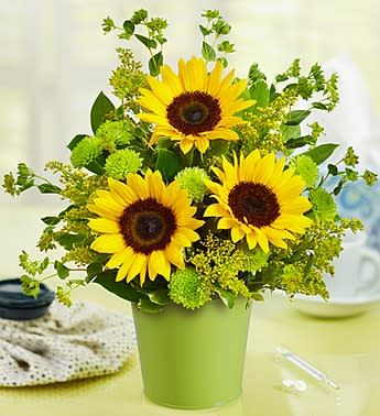 Get Well Soon Bouquet in Green Tin