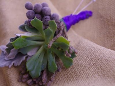 Succulent Dusty Boutonniere