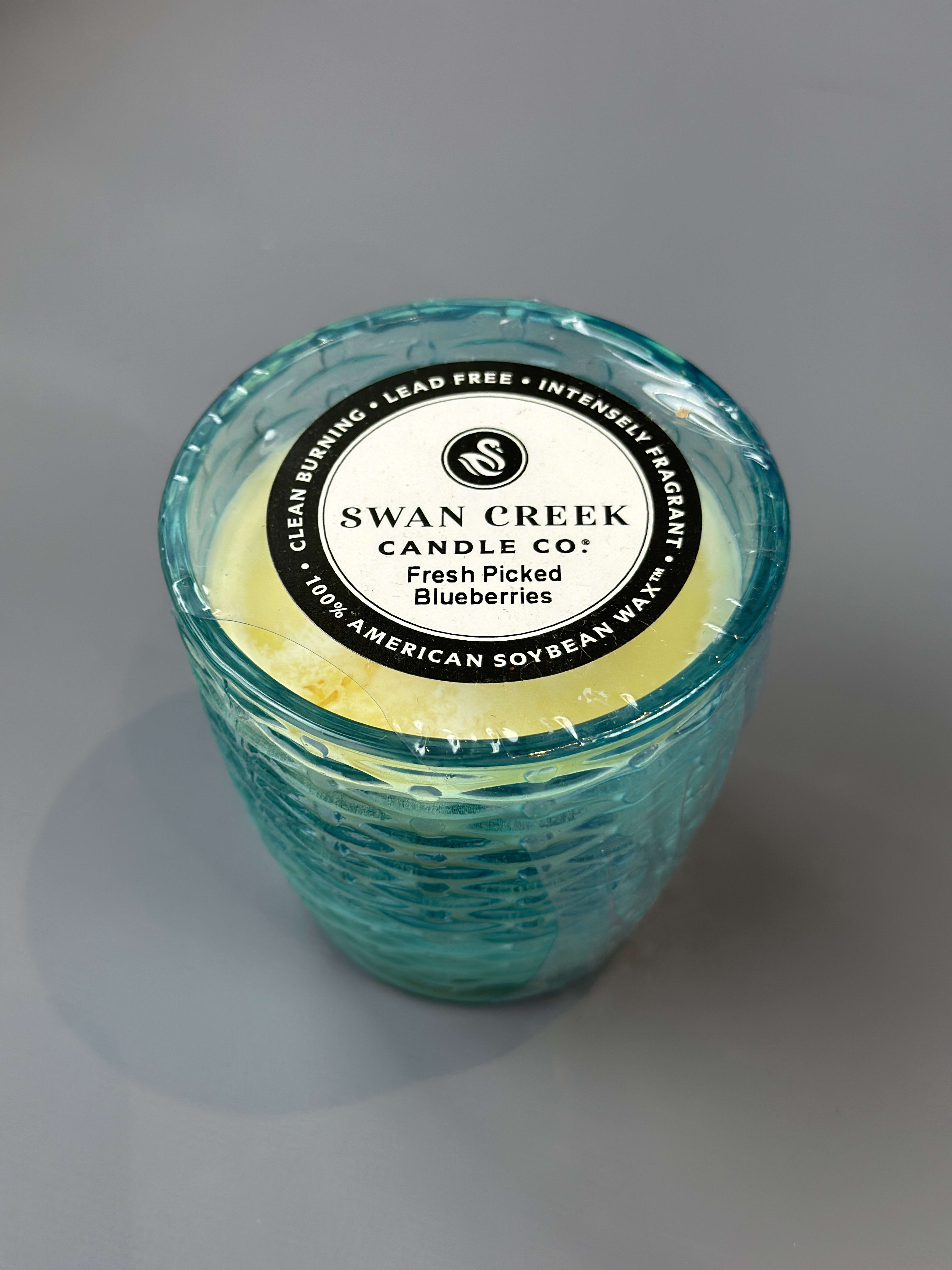 SWAN CREEK FRESH PICKED BLUEBERRIES 4.5OZ CANDLE