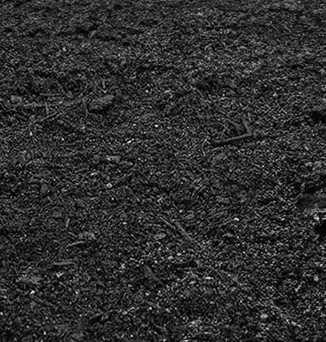 Premium Garden Bed / Yard