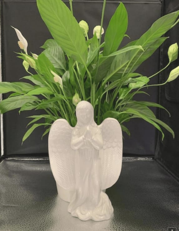 ANGEL PLANTER