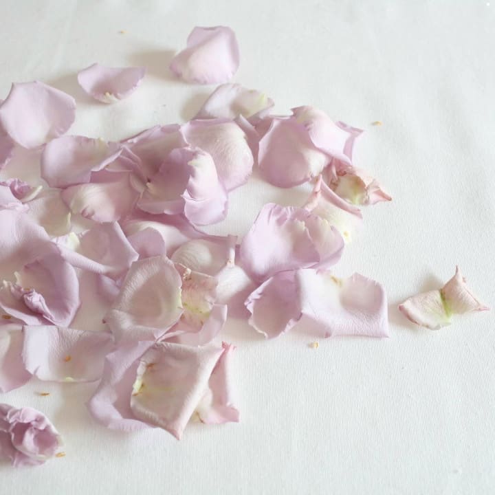 TOSSING PETALS