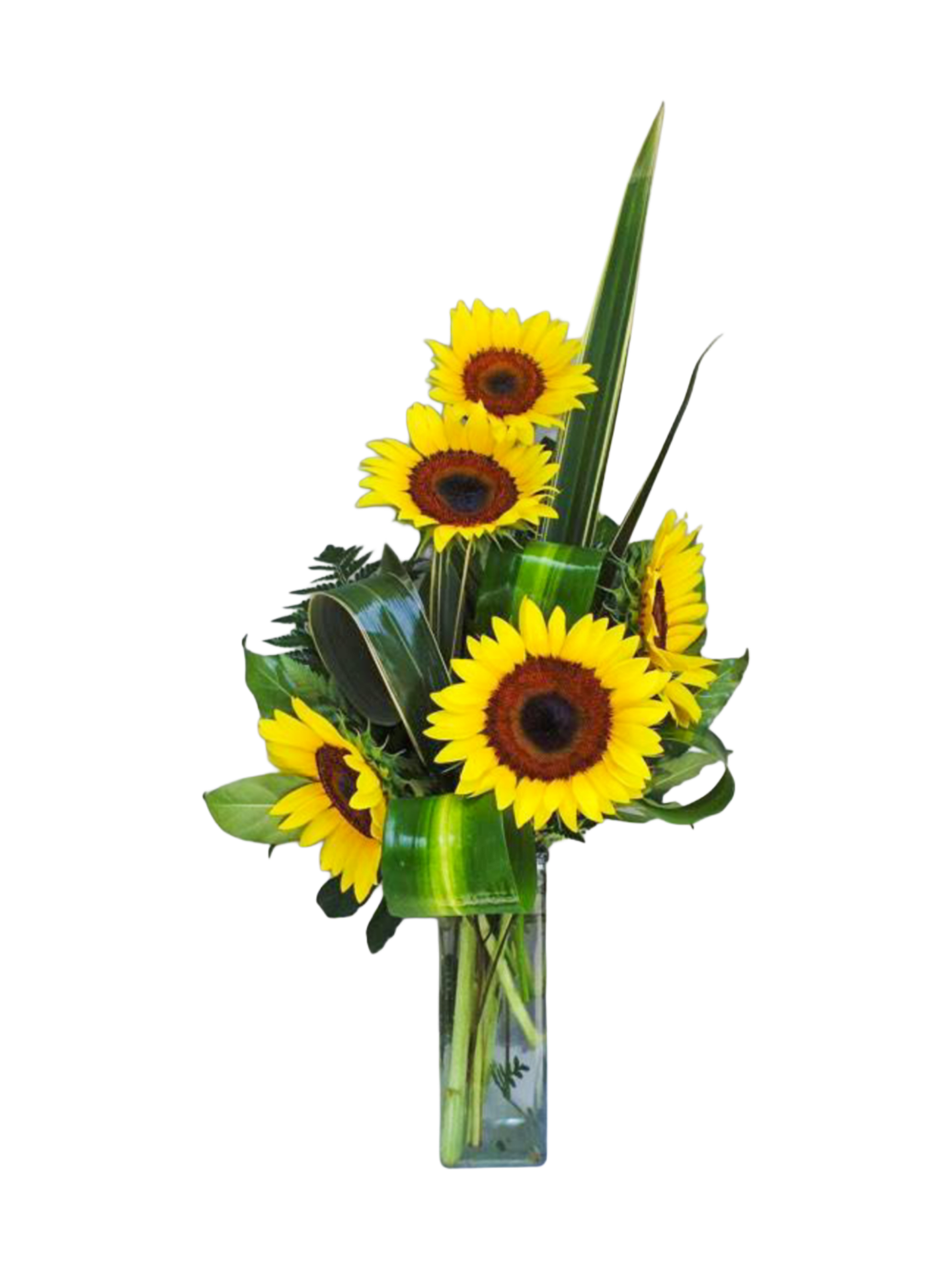 GS-3 Arreglo de girasoles
