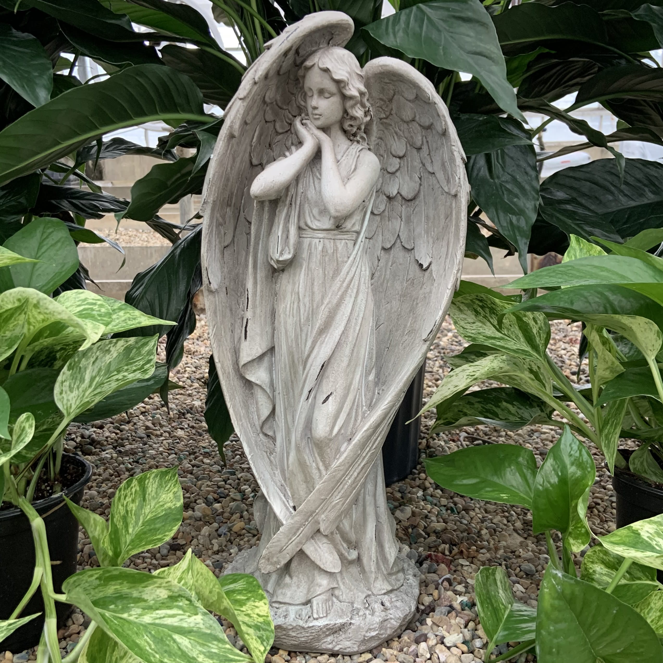 Dramatic Large Winged Angel