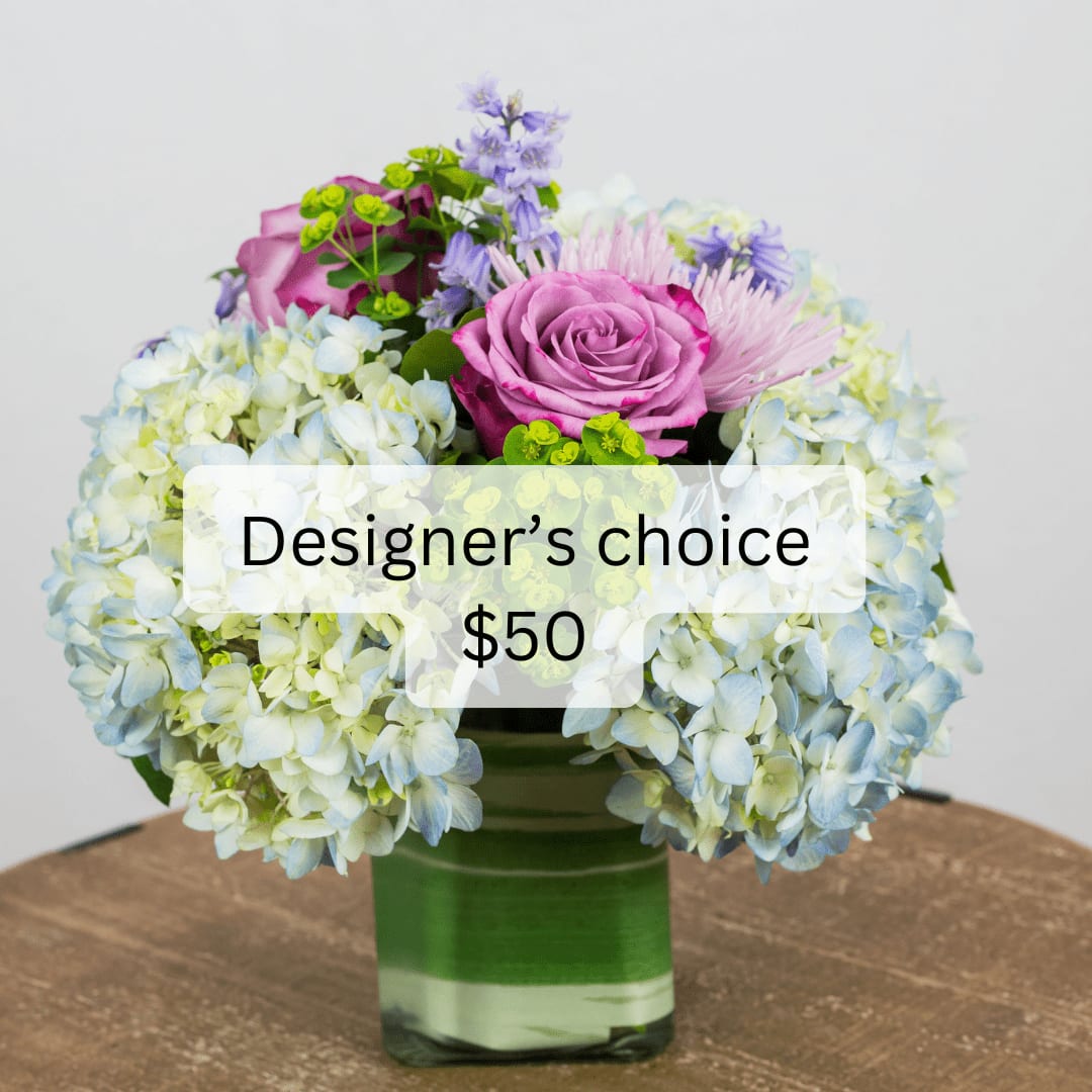 Designers Choice $50