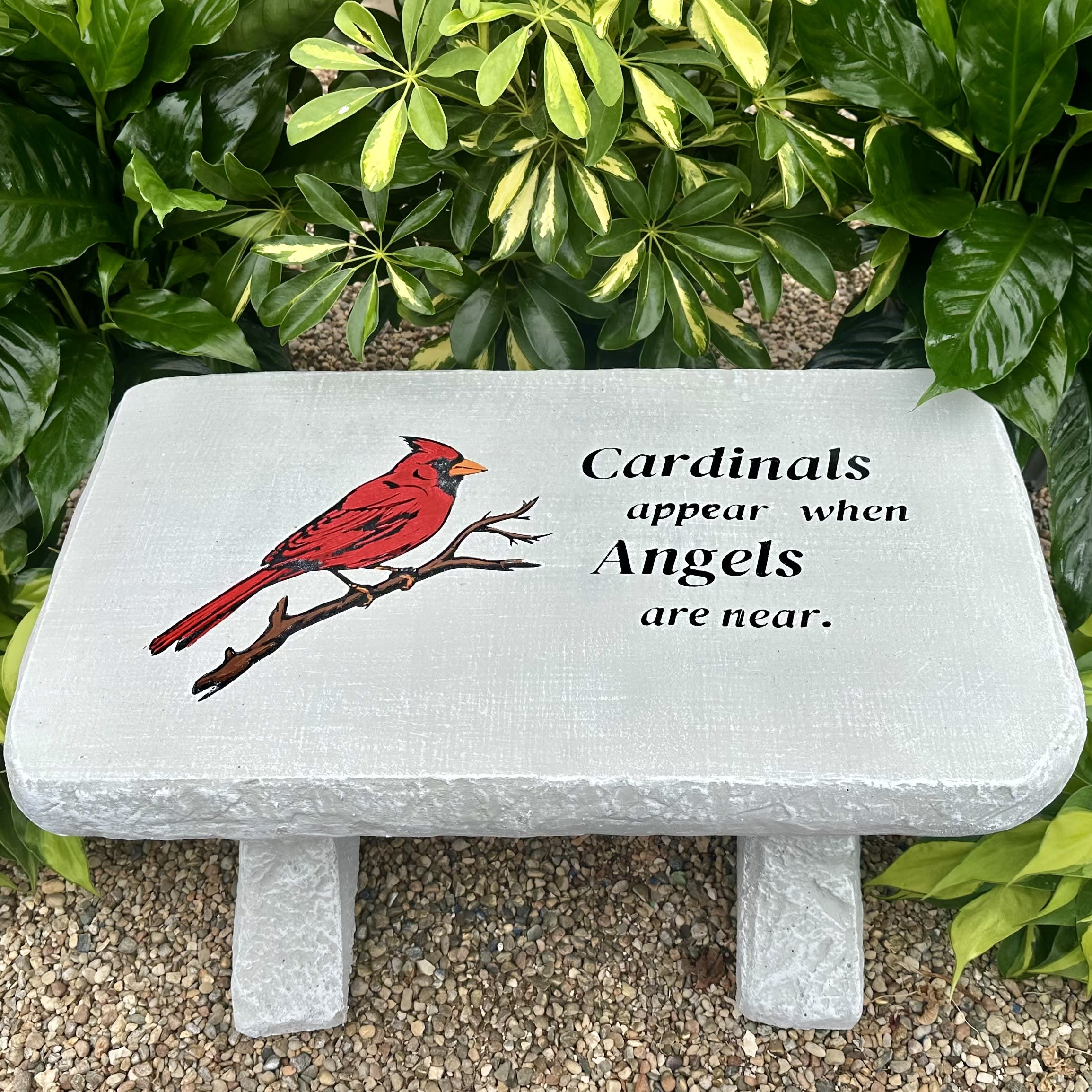 Cardinals Appear Memorial Bench