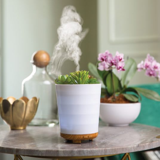 POTTED SUCCULENT ULTRASONIC ESSENTIAL OIL DIFFUSER Flower Bouquet