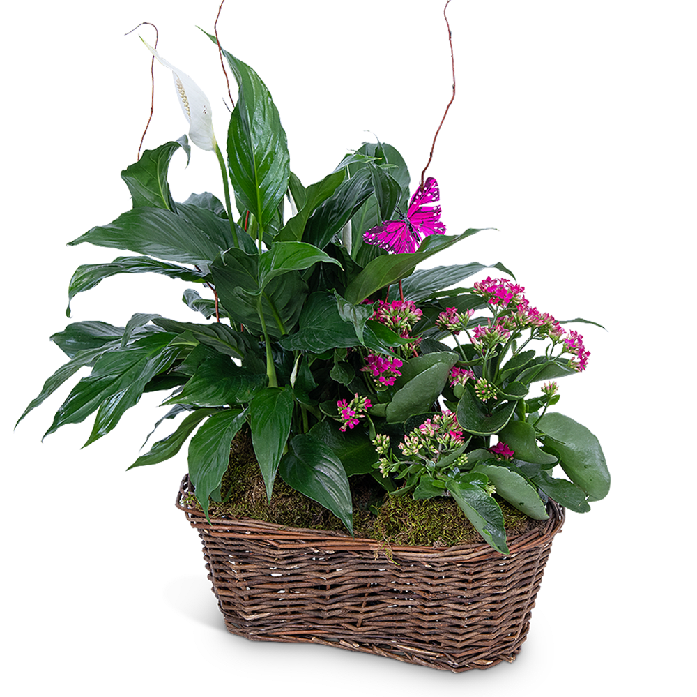 Harmony Basket with Butterflies Flower Bouquet