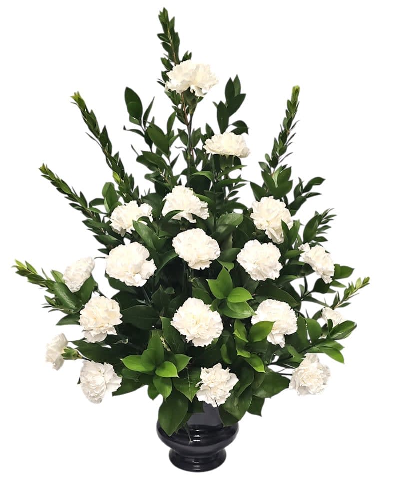 Simplicity Carnations For The Service