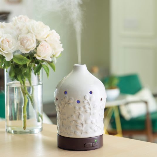 WILLOW ULTRASONIC ESSENTIAL OIL DIFFUSER