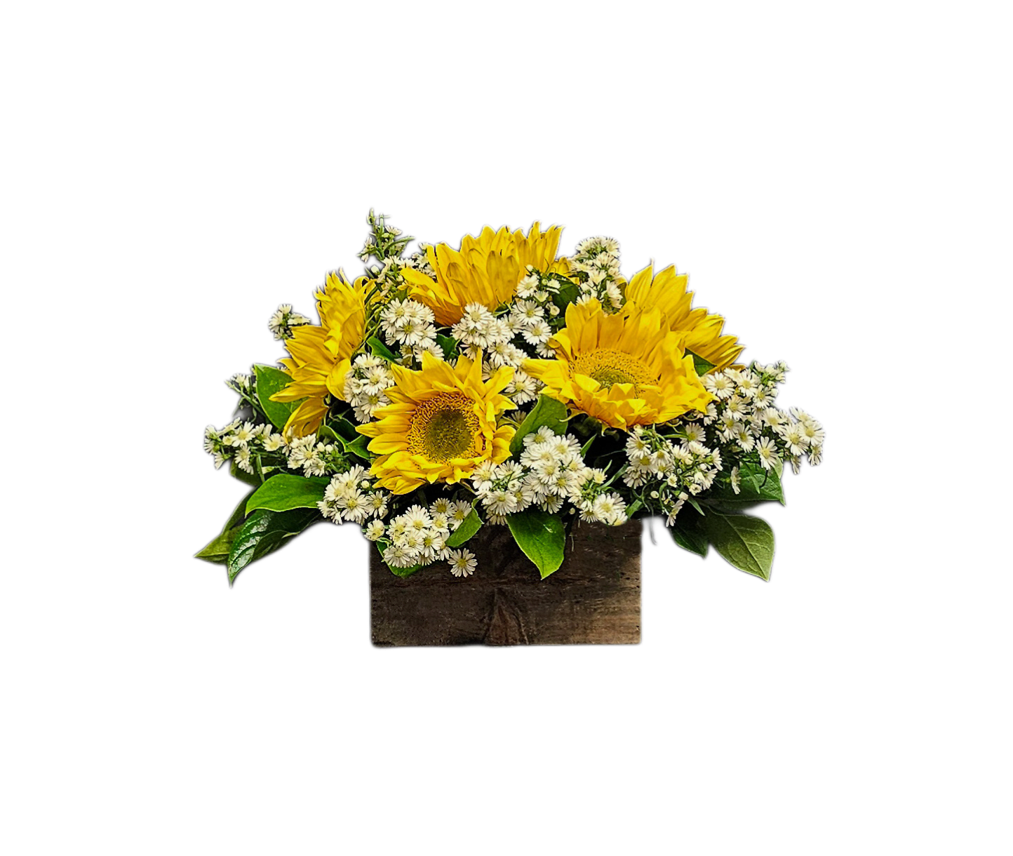 GT-20 Arreglo de girasoles