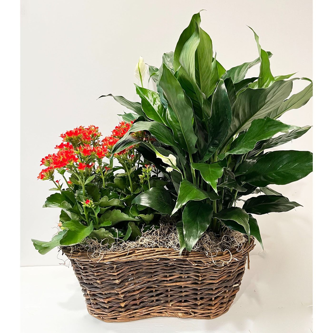 European Dishgarden Flower Bouquet