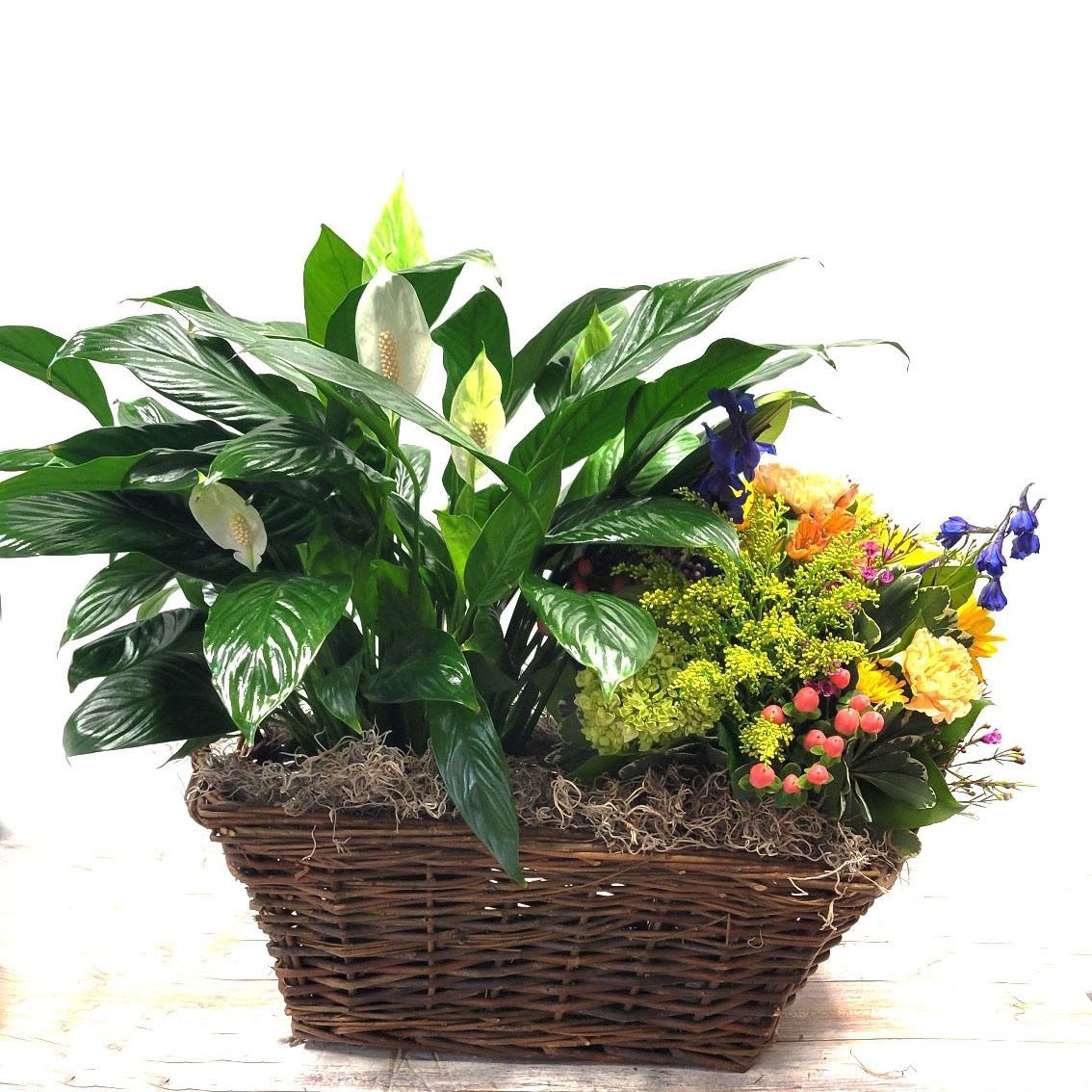 European Basket with Fresh Floral Vase Flower Bouquet