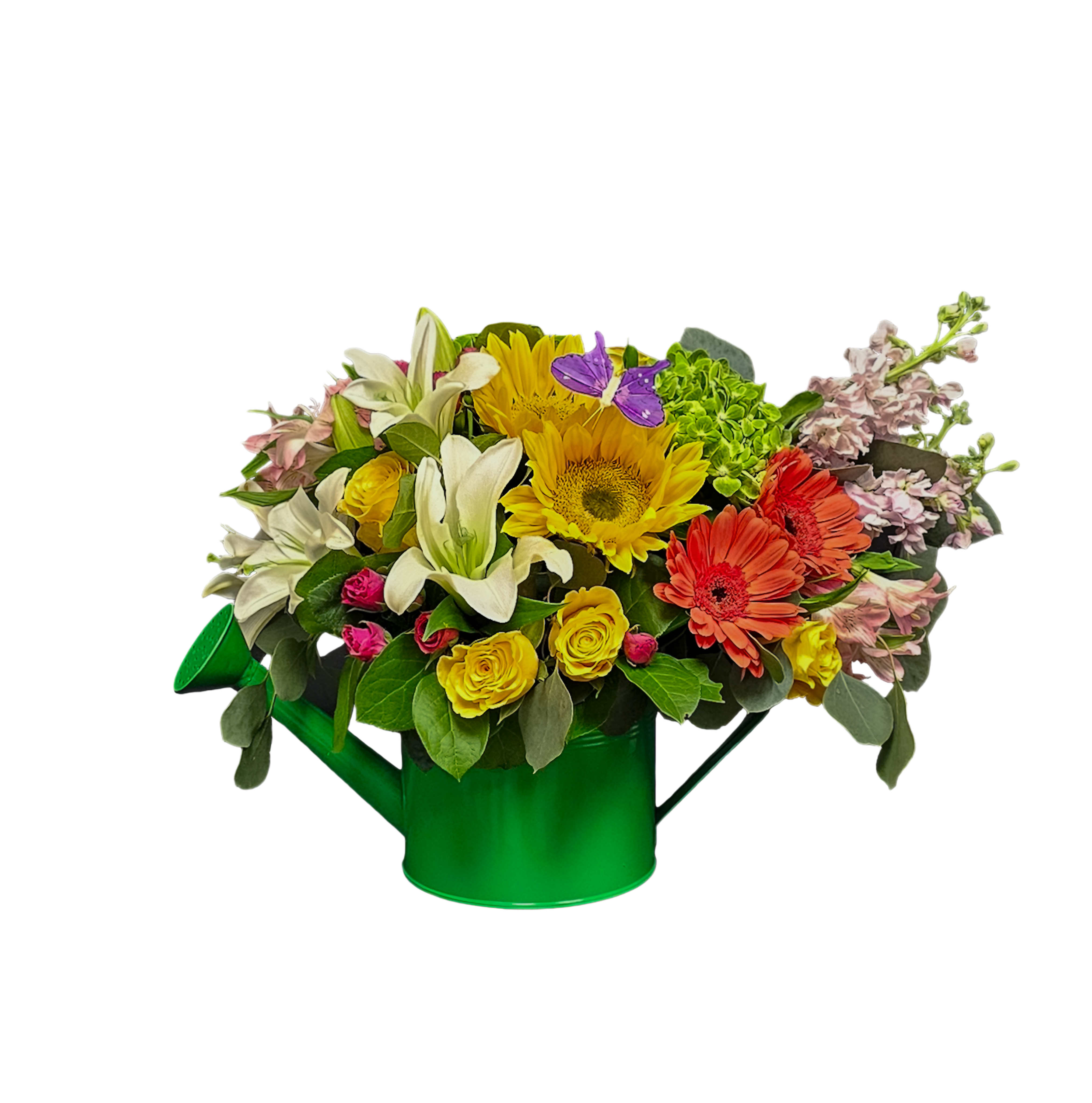 M-15 Arreglo con vase de regadera de rosas, gerberas, lirios, stocks, girasoles, alstroemerias y hortensias