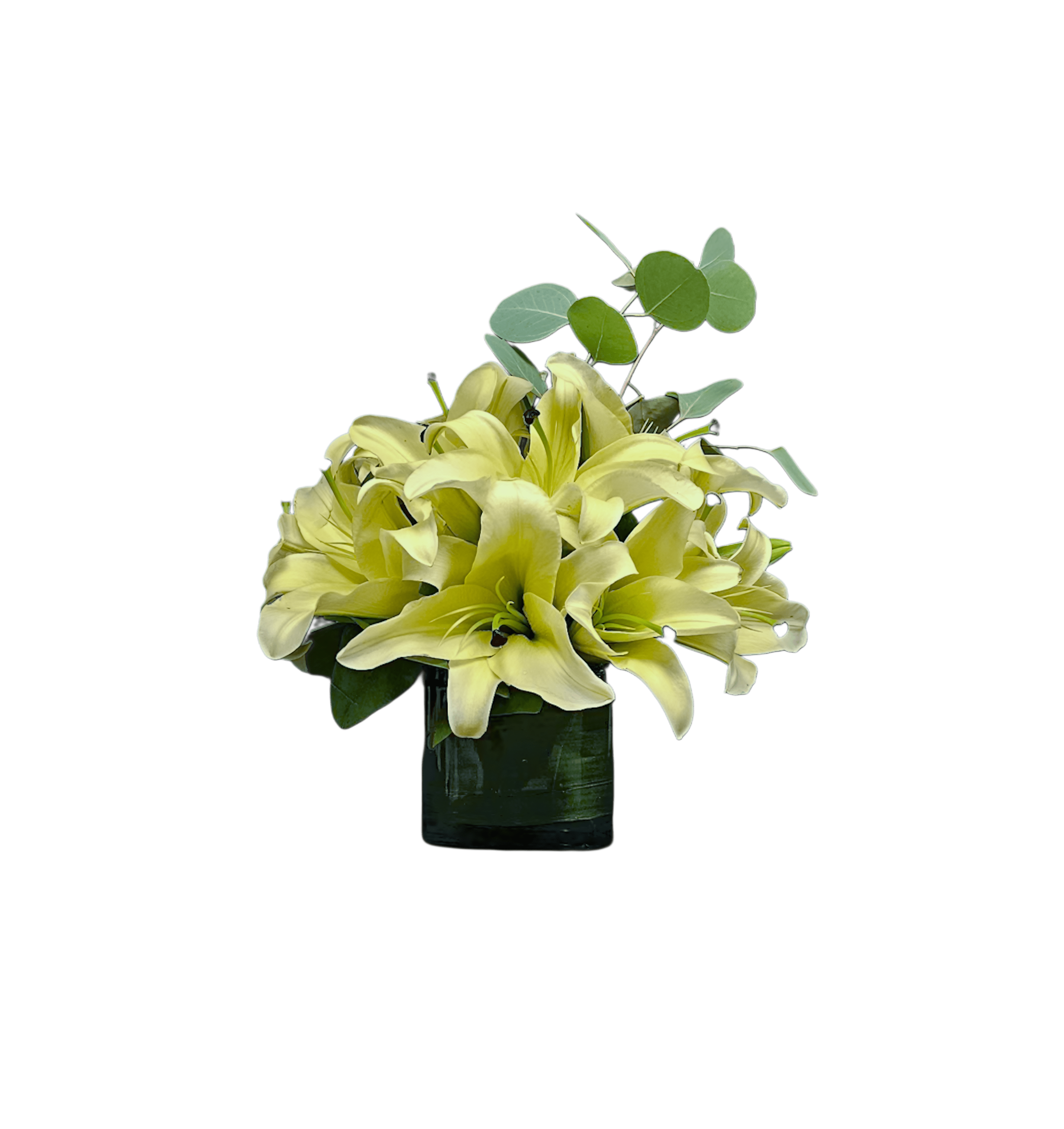 AF-1 Lirios concador