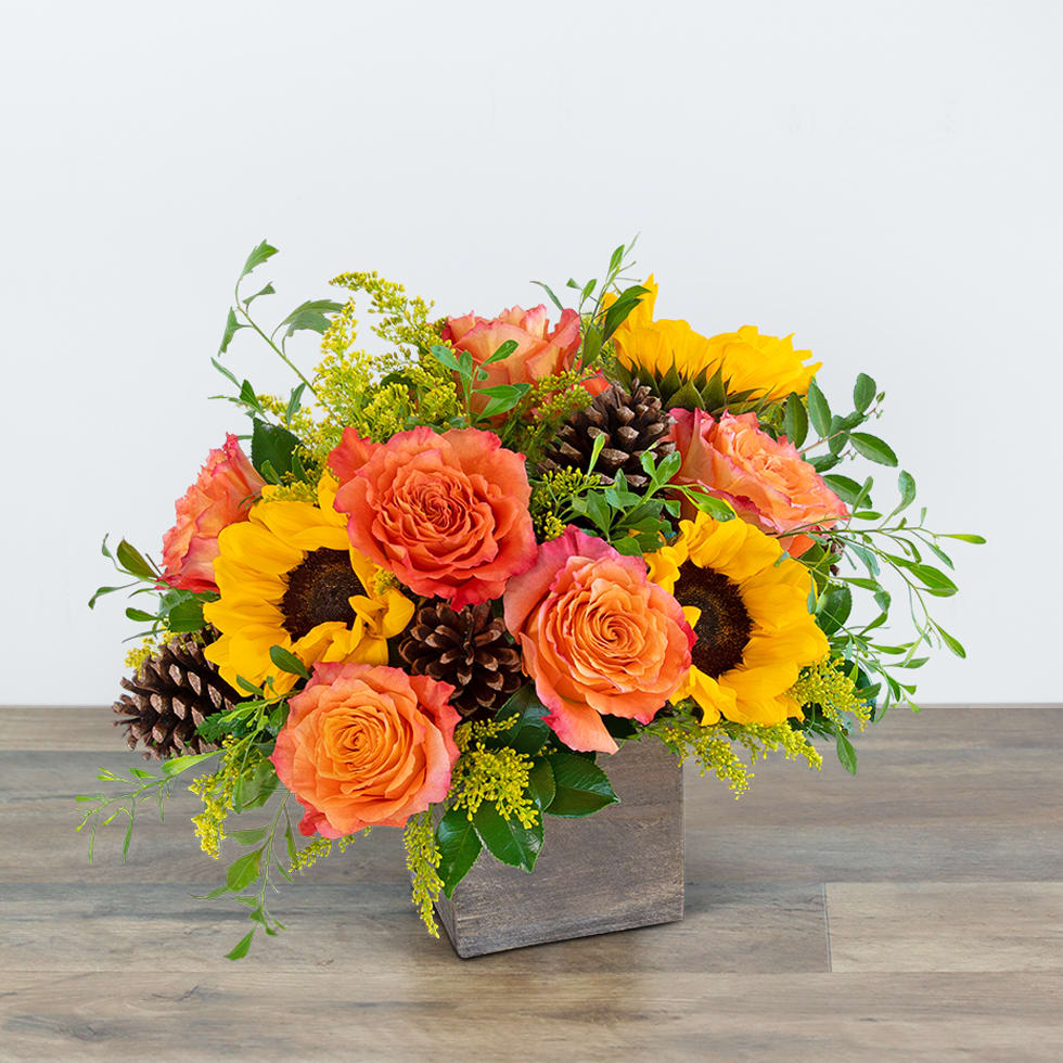 Harvest Sunburst Luxe