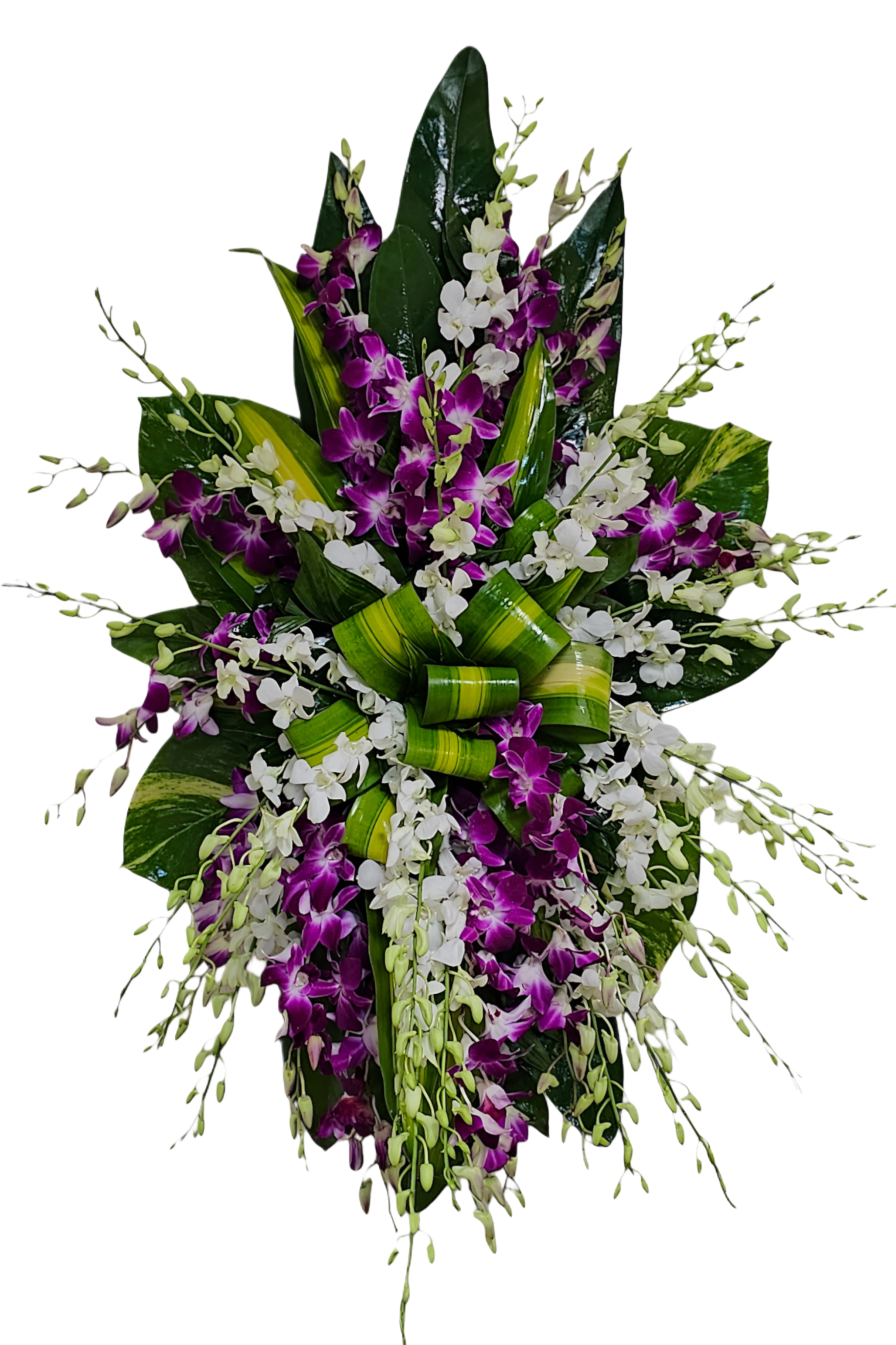 C-50 Corona de orquídeas