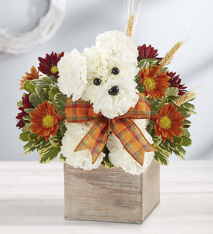 A DOG. Able for Fall Flower Bouquet