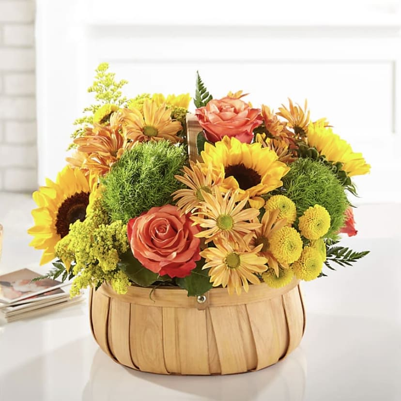 Sunshine in a Basket