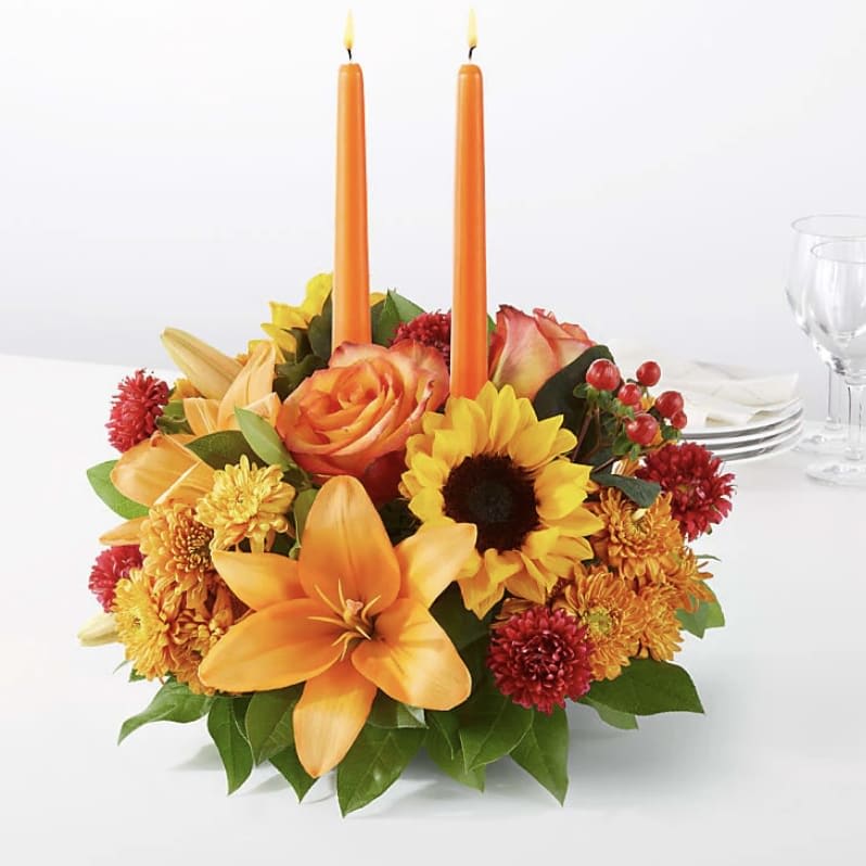 Flickers of Fall Bliss