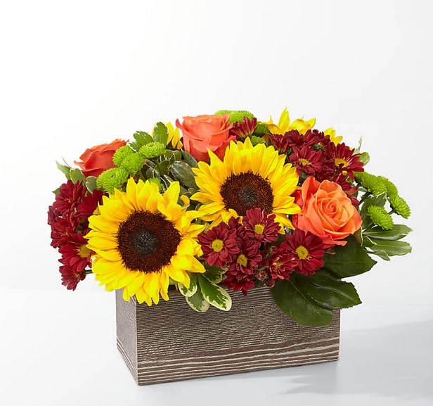 Happy Harvest Garden