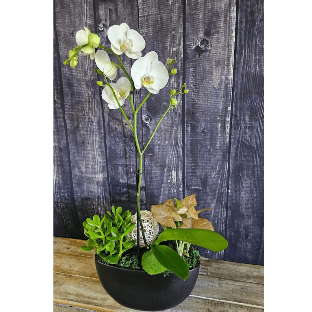 Modern Orchid Bowl