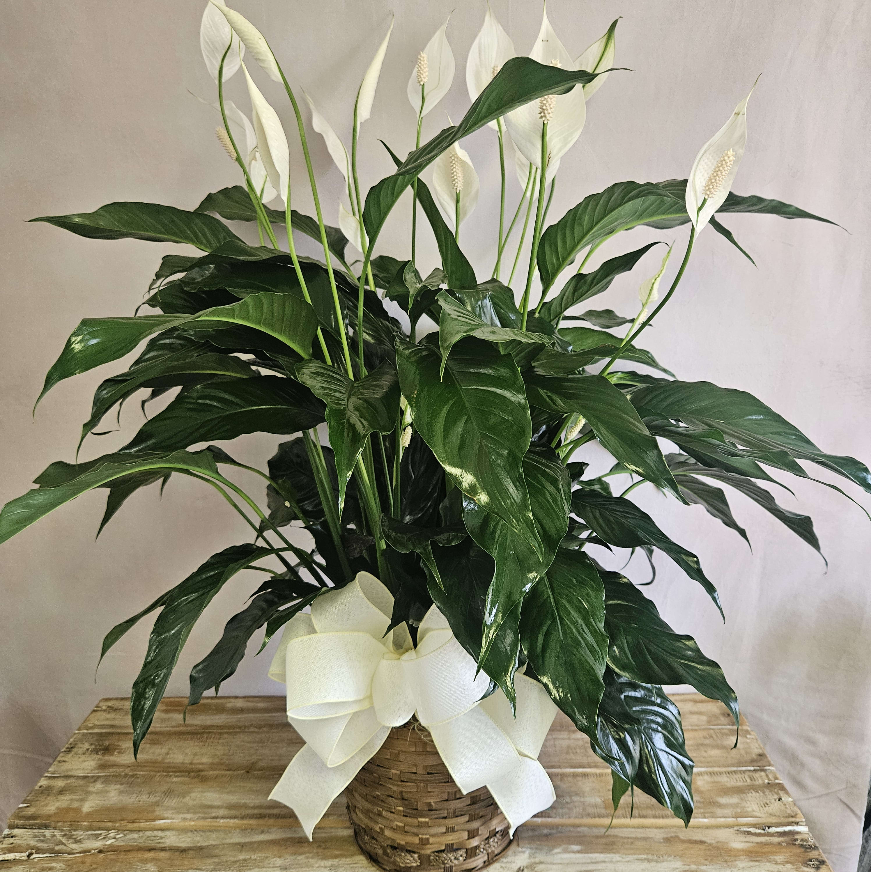 Sympathy Peace Lily Flower Bouquet