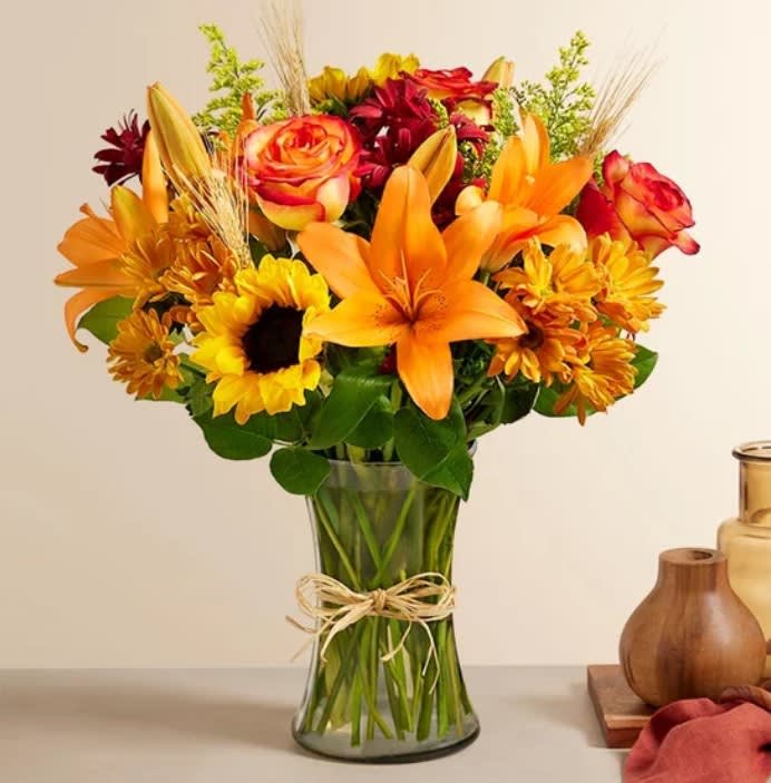 Fields Of Europe For Fall