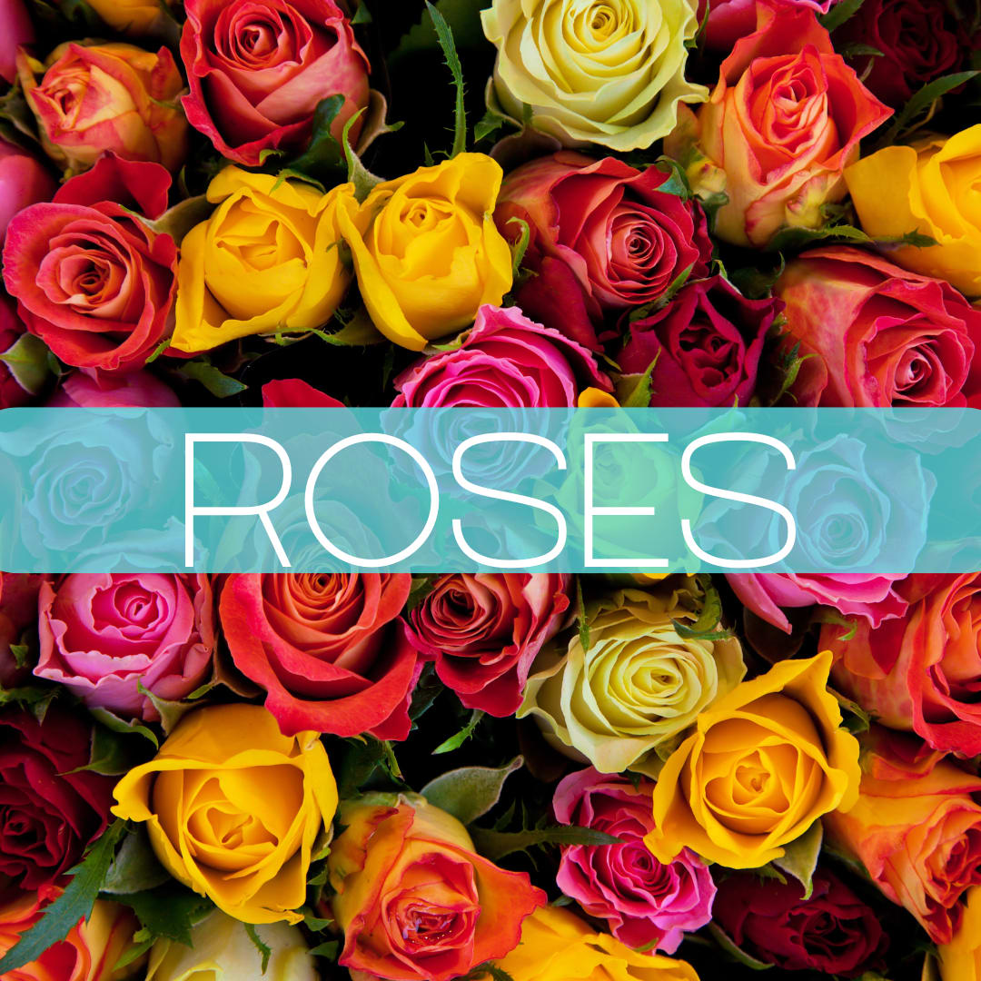 Roses Subscription