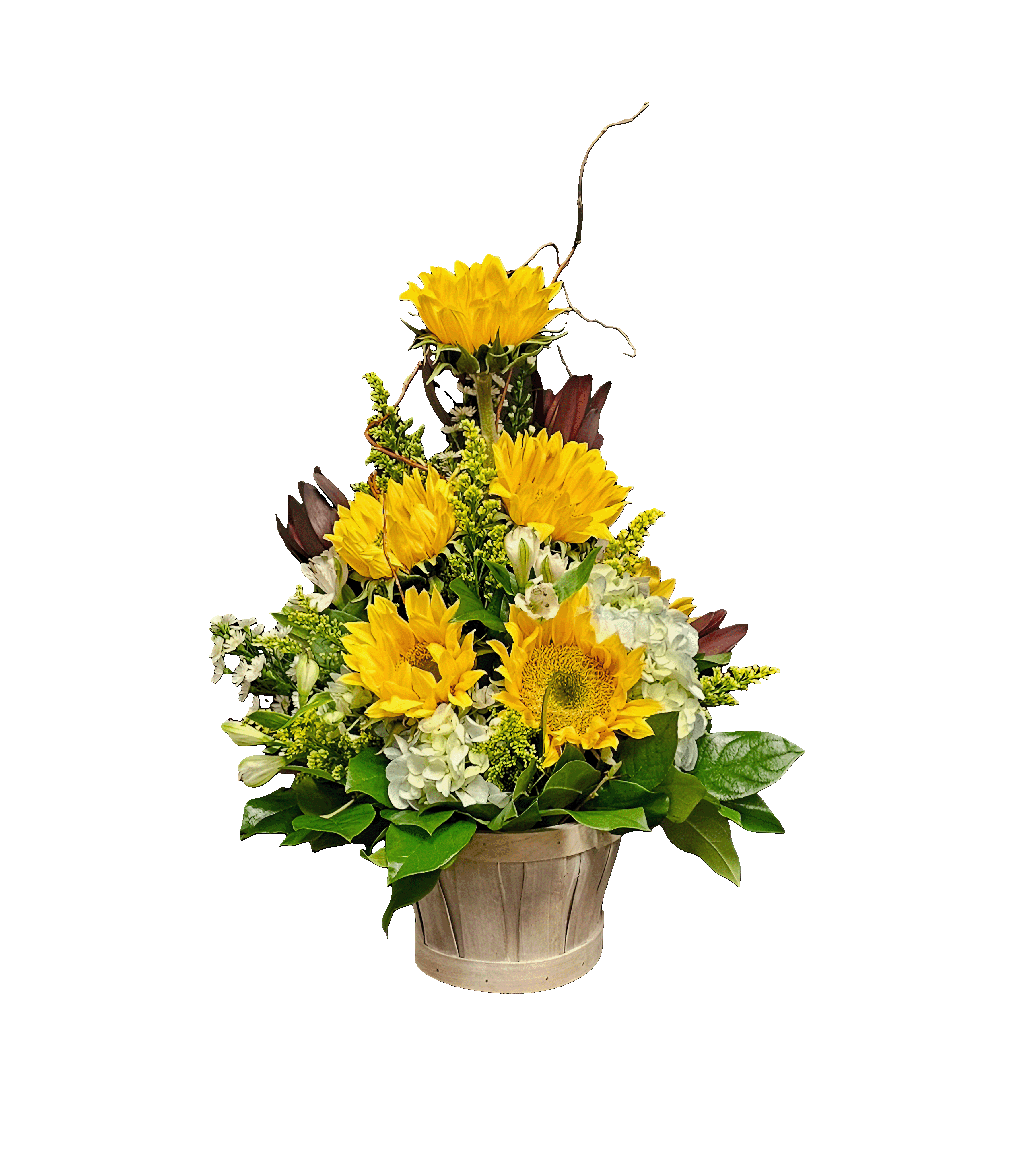 AM-5 Arreglo de hortensias, girasoles, alstroemerias y safari sunset