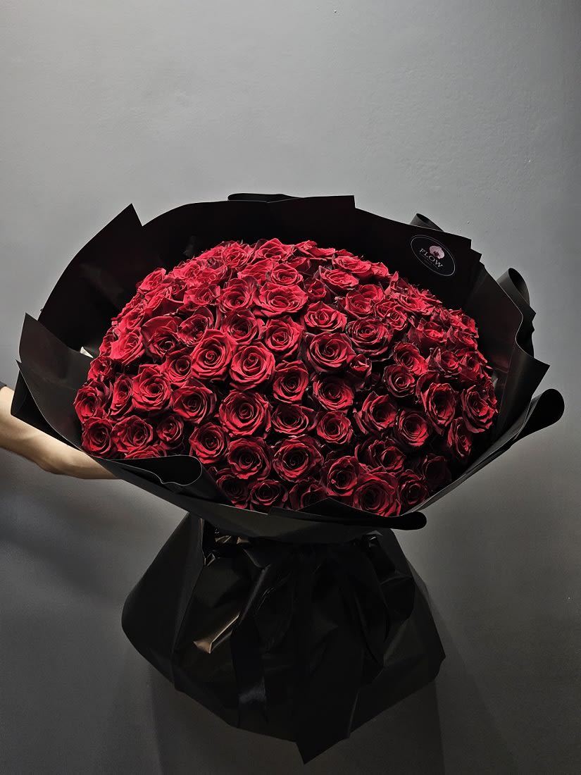 Black and Red Beauty