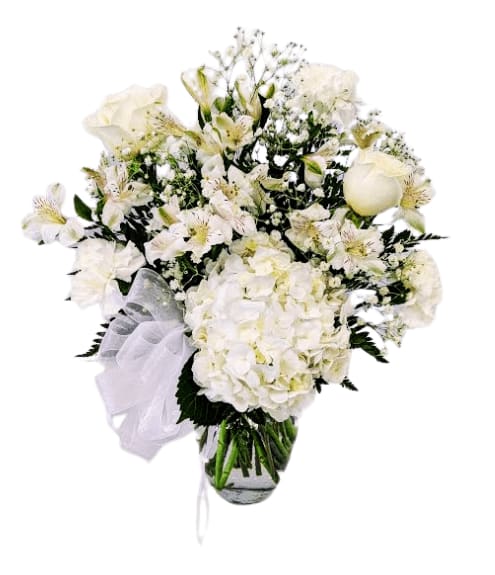 Whispers Of White Blooms V-1447