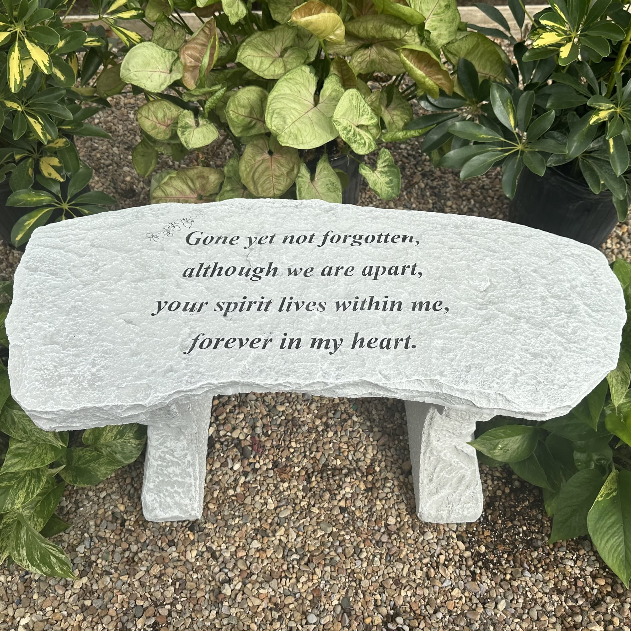 Gone Yet Not Forgotten Memorial Bench